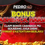 Daftar Akun Sicbo BRI – Registrasi Mudah di Situs Judi Online Terpercaya